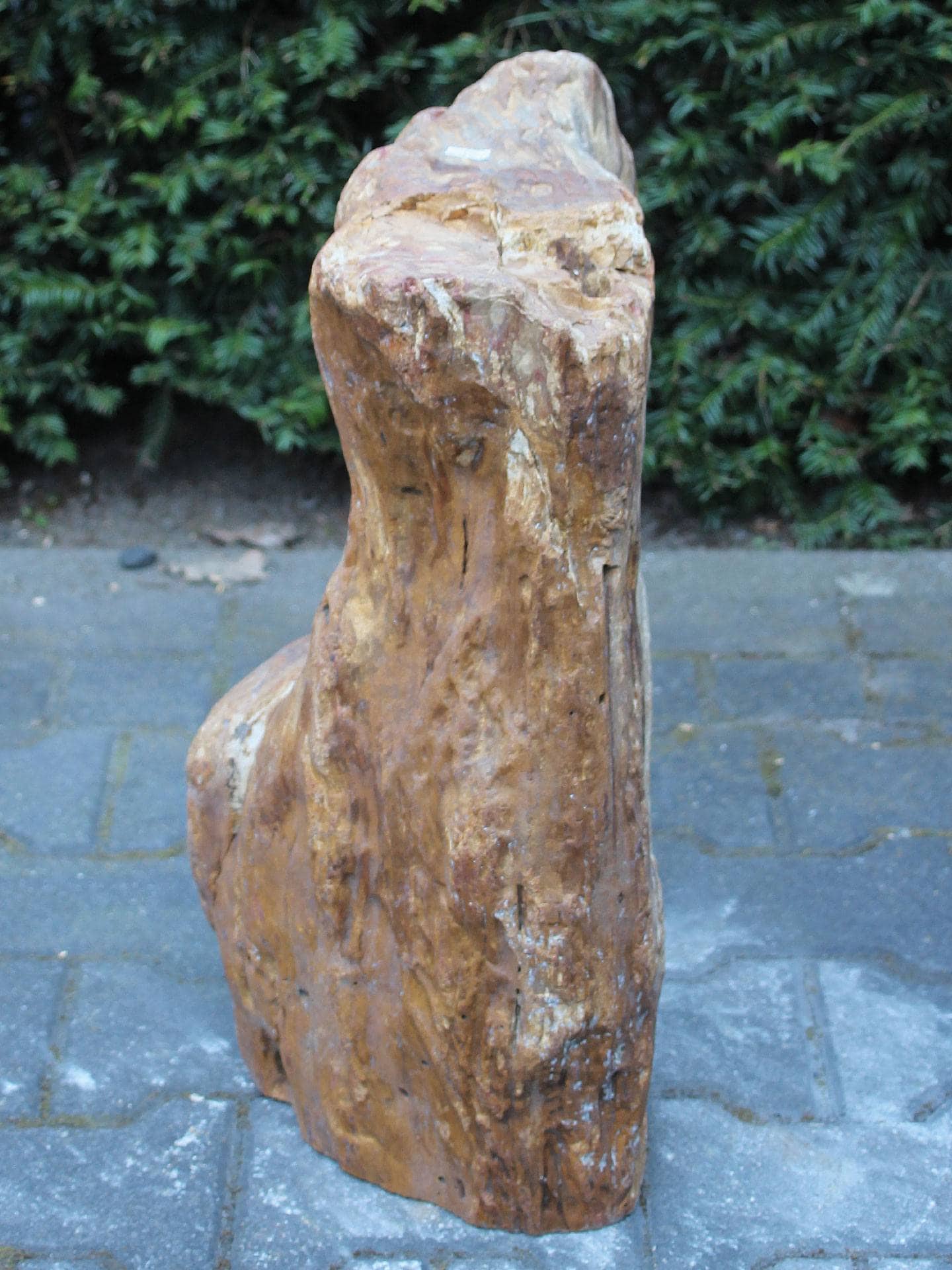 Versteend hout - Lichtbruin - Versteend hout - 53x30x24 cm - Afbeelding 3