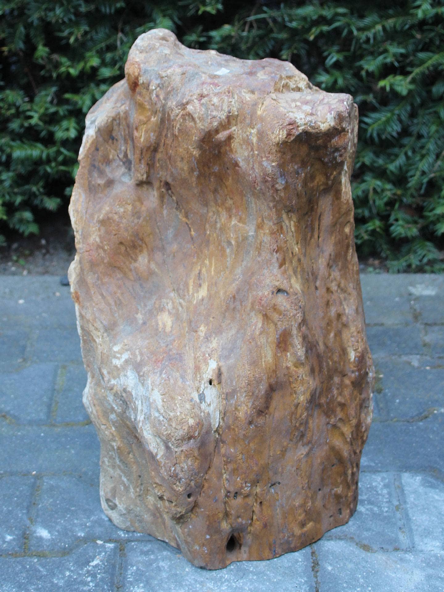 Versteend hout - Lichtbruin - Versteend hout - 53x30x24 cm - Afbeelding 4