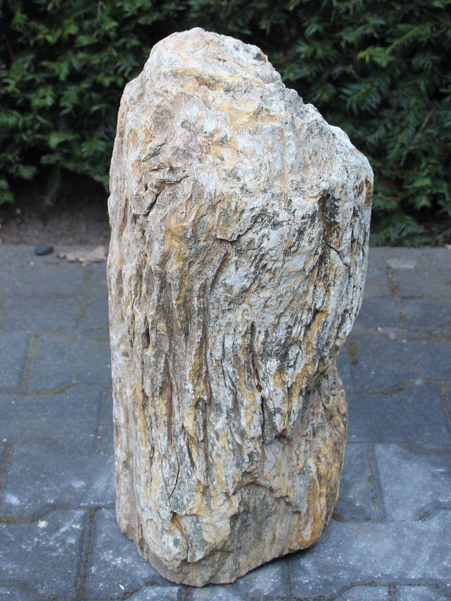 Versteend hout - Lichtbruin - Versteend hout - 53x37x26 cm - Afbeelding 4