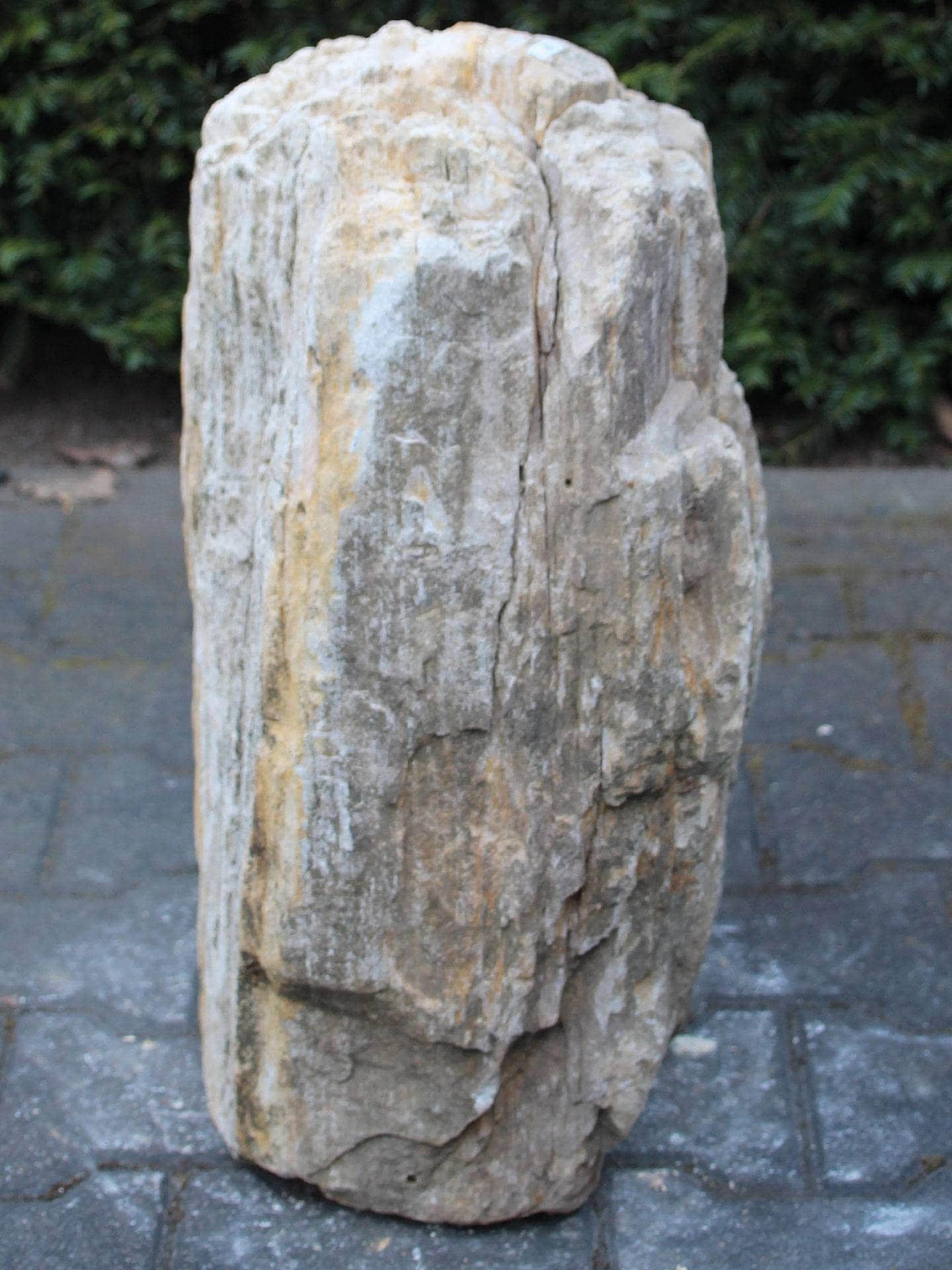 Versteend hout - Lichtbruin - Versteend hout - 54x38x27 cm - Afbeelding 4