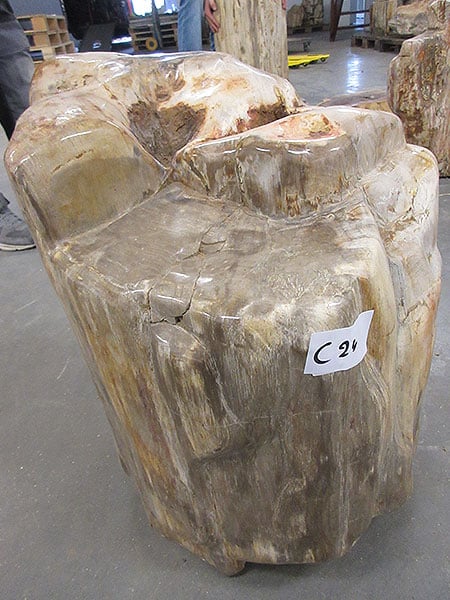 Versteend hout - Lichtbruin - Versteend hout - 60x55x45 cm - Afbeelding 2