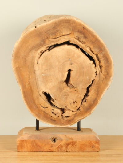 Houtdecoratie op standaard – Lichtbruin – Teakhout – decoratie op standaard JT/HP-96 – 41x30x15 cm