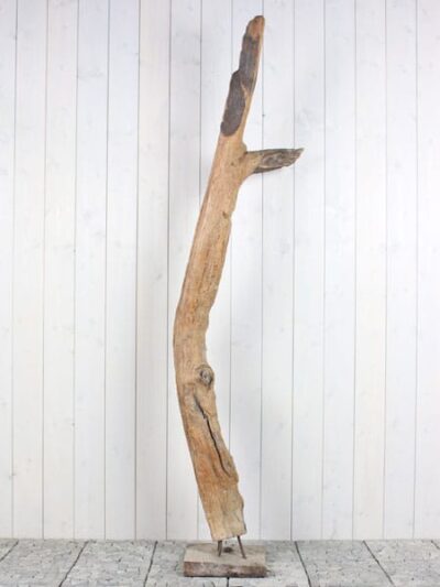 Houtsculptuur – Bruin – Teakhout – Houtsculptuur Sprokkelhout Teak 65-1 GJ – 212x60x20 cm