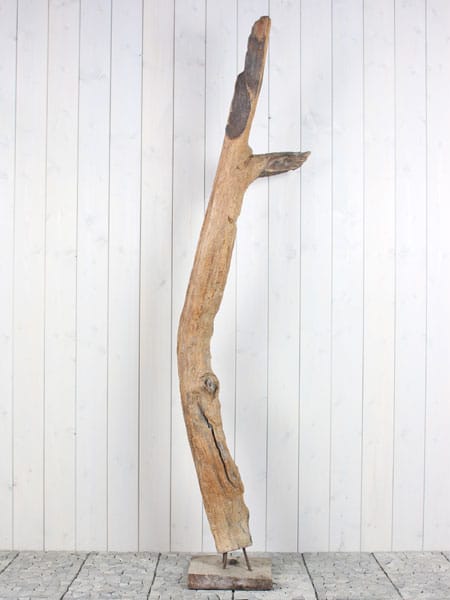Houtsculptuur - Bruin - Teakhout - Houtsculptuur Sprokkelhout Teak 65-1 GJ - 212x60x20 cm