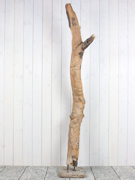 Houtsculptuur - Bruin - Teakhout - Houtsculptuur Sprokkelhout Teak 65-1 GJ - 212x60x20 cm - Afbeelding 2