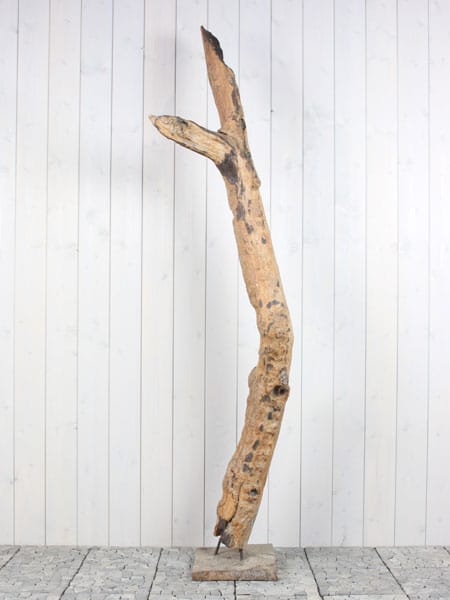 Houtsculptuur - Bruin - Teakhout - Houtsculptuur Sprokkelhout Teak 65-1 GJ - 212x60x20 cm - Afbeelding 3