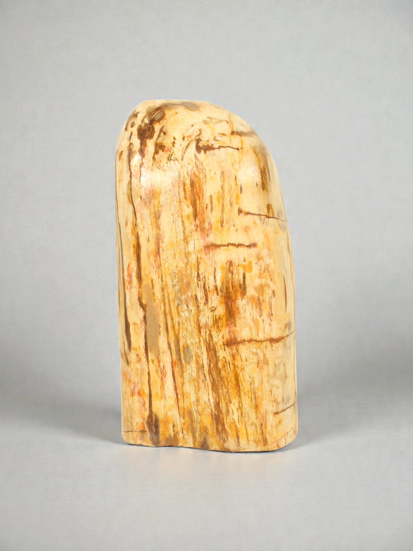 Versteend hout - Versteend hout - 62x30x25 cm - Afbeelding 4
