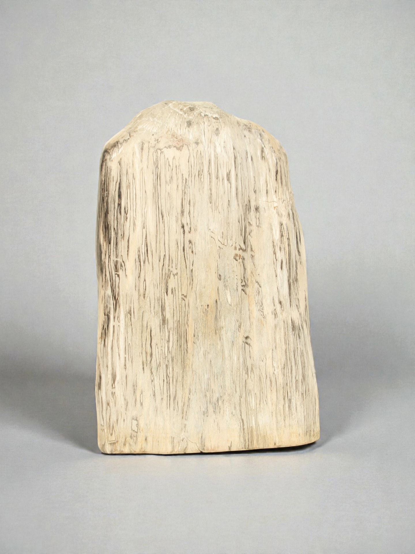 Versteend hout - Versteend hout - 75x25x40 cm