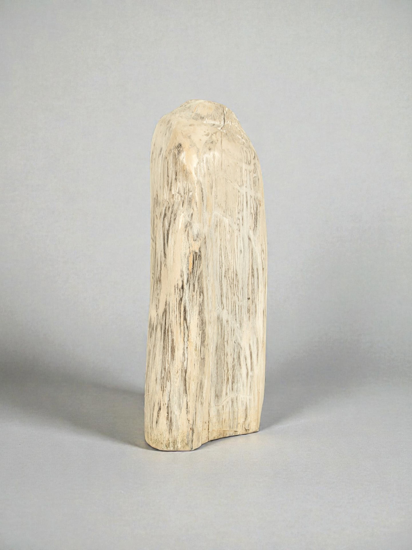Versteend hout - Versteend hout - 75x25x40 cm - Afbeelding 2