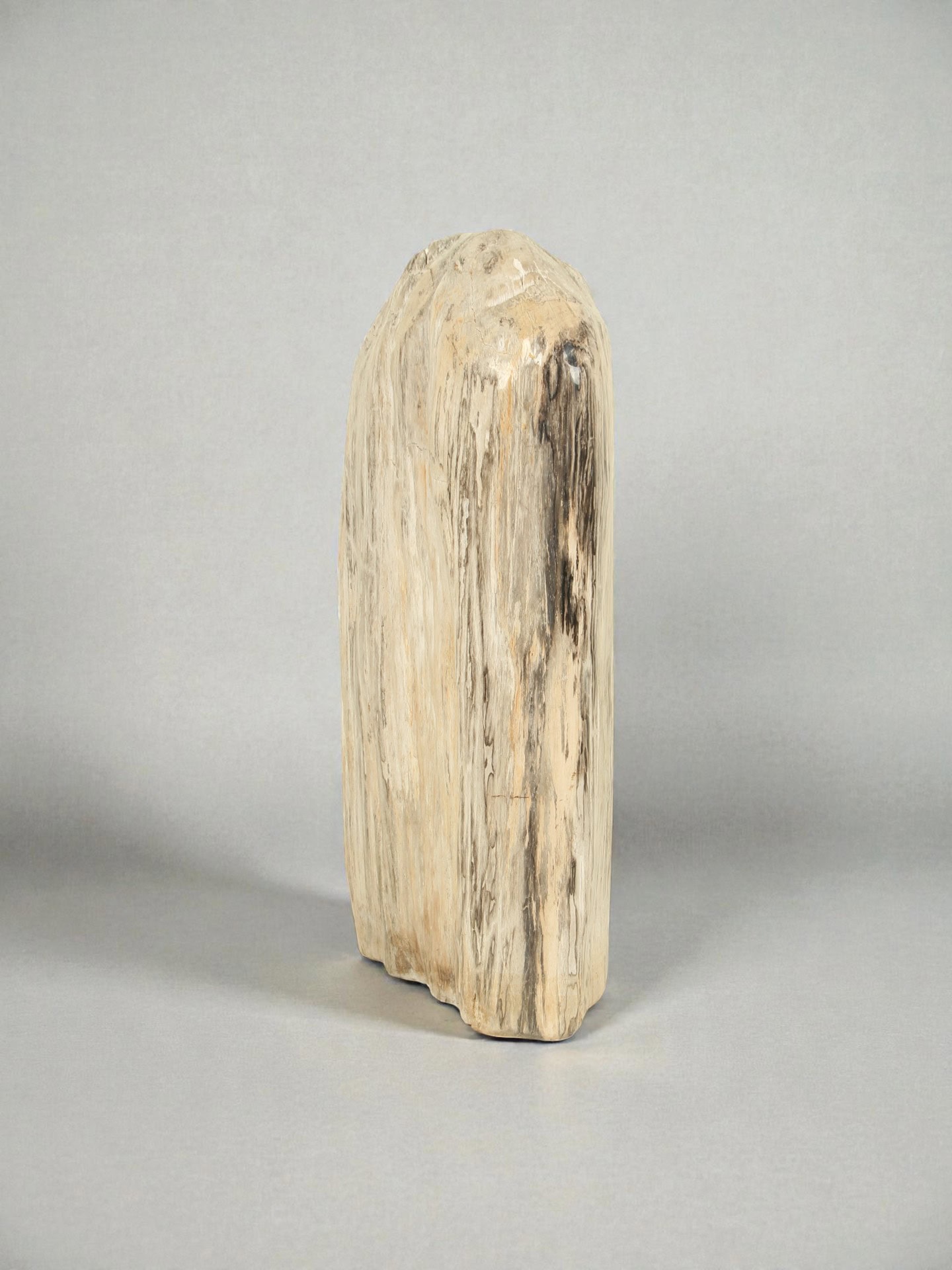 Versteend hout - Versteend hout - 75x25x40 cm - Afbeelding 4