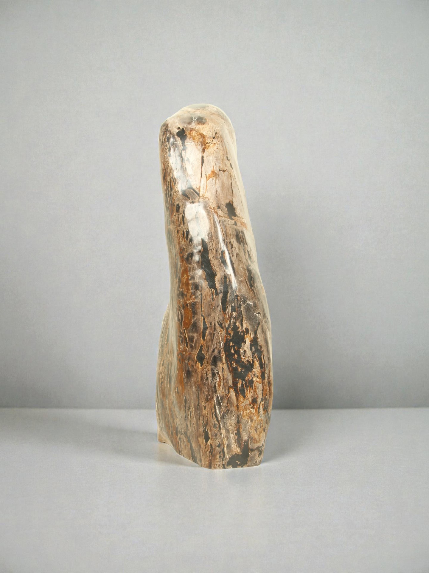 Versteend hout - Versteend hout - 81x35x20 cm - Afbeelding 4
