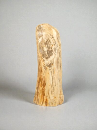 Versteend hout – Versteend hout – 90x35x30 cm