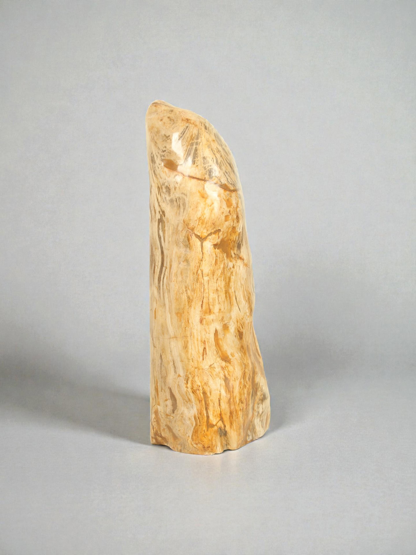 Versteend hout - Versteend hout - 90x35x30 cm - Afbeelding 2