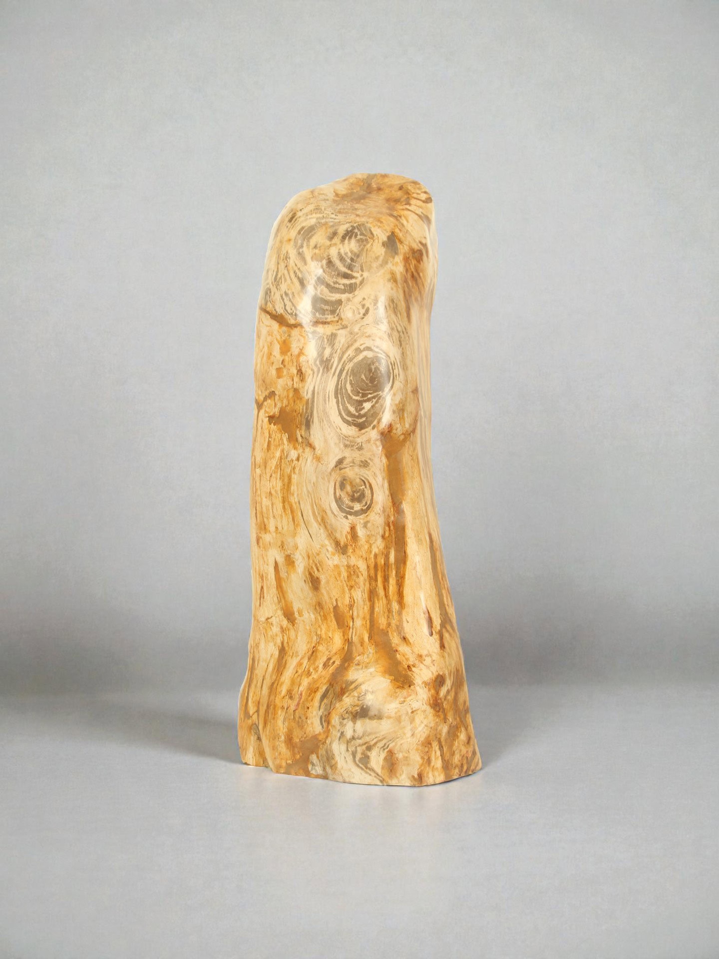 Versteend hout - Versteend hout - 90x35x30 cm - Afbeelding 3