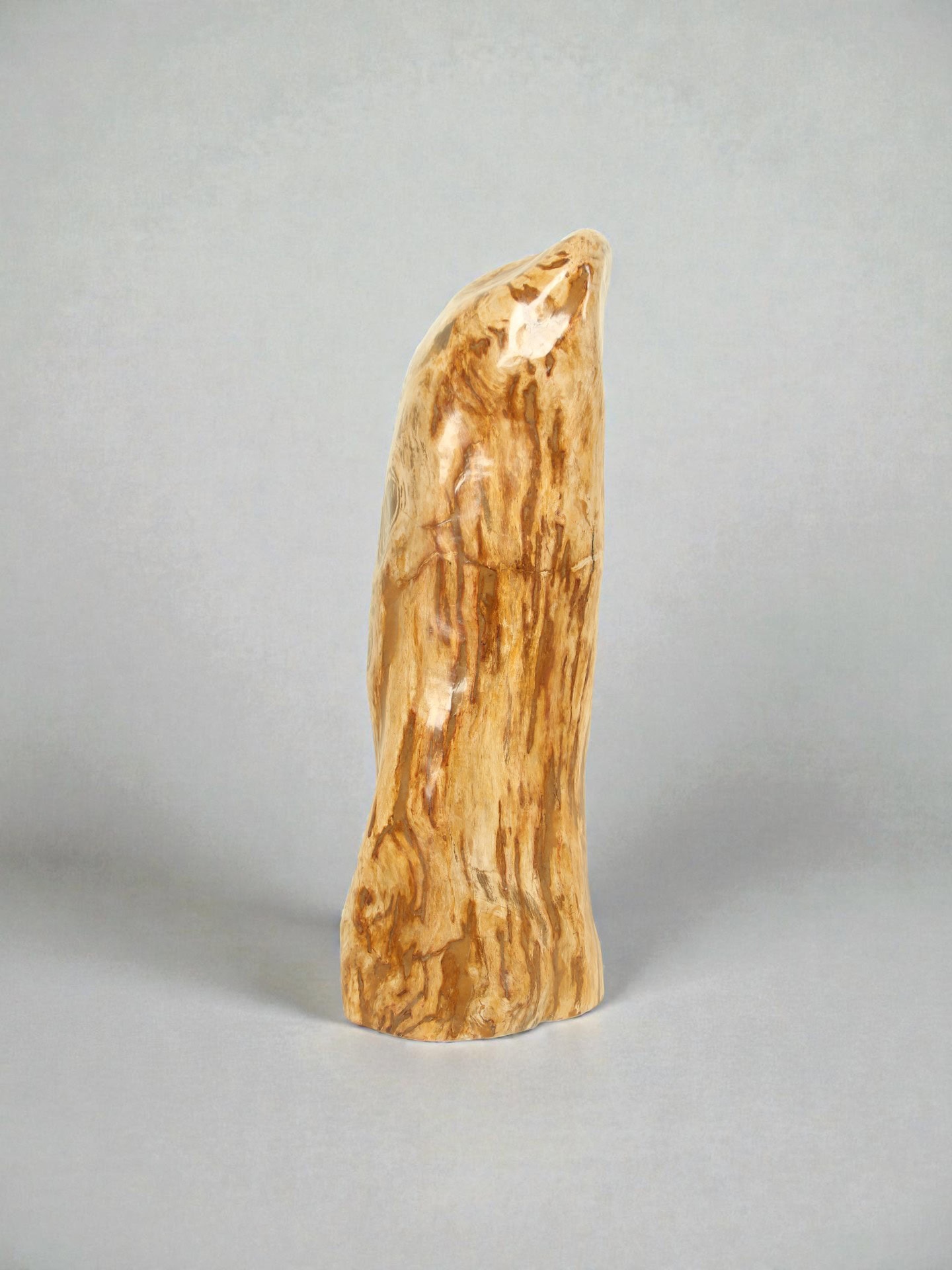 Versteend hout - Versteend hout - 90x35x30 cm - Afbeelding 4