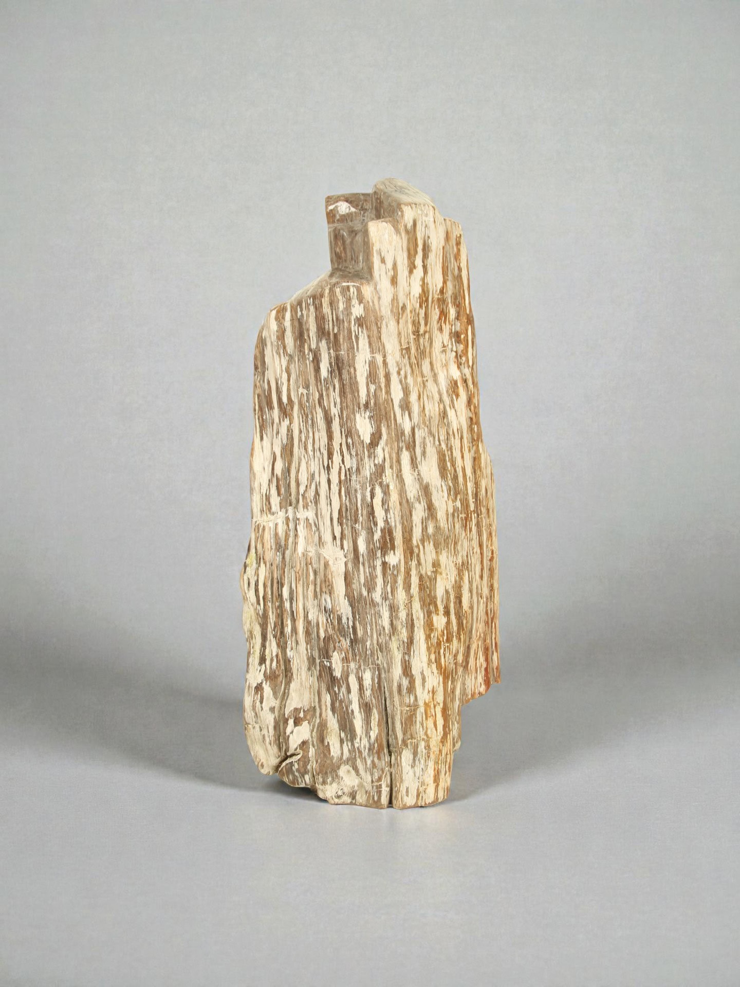 Versteend hout - Versteend hout - 90x40x20 cm - Afbeelding 3