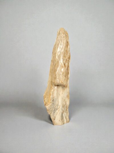 Versteend hout – Versteend hout – 98x26x26 cm