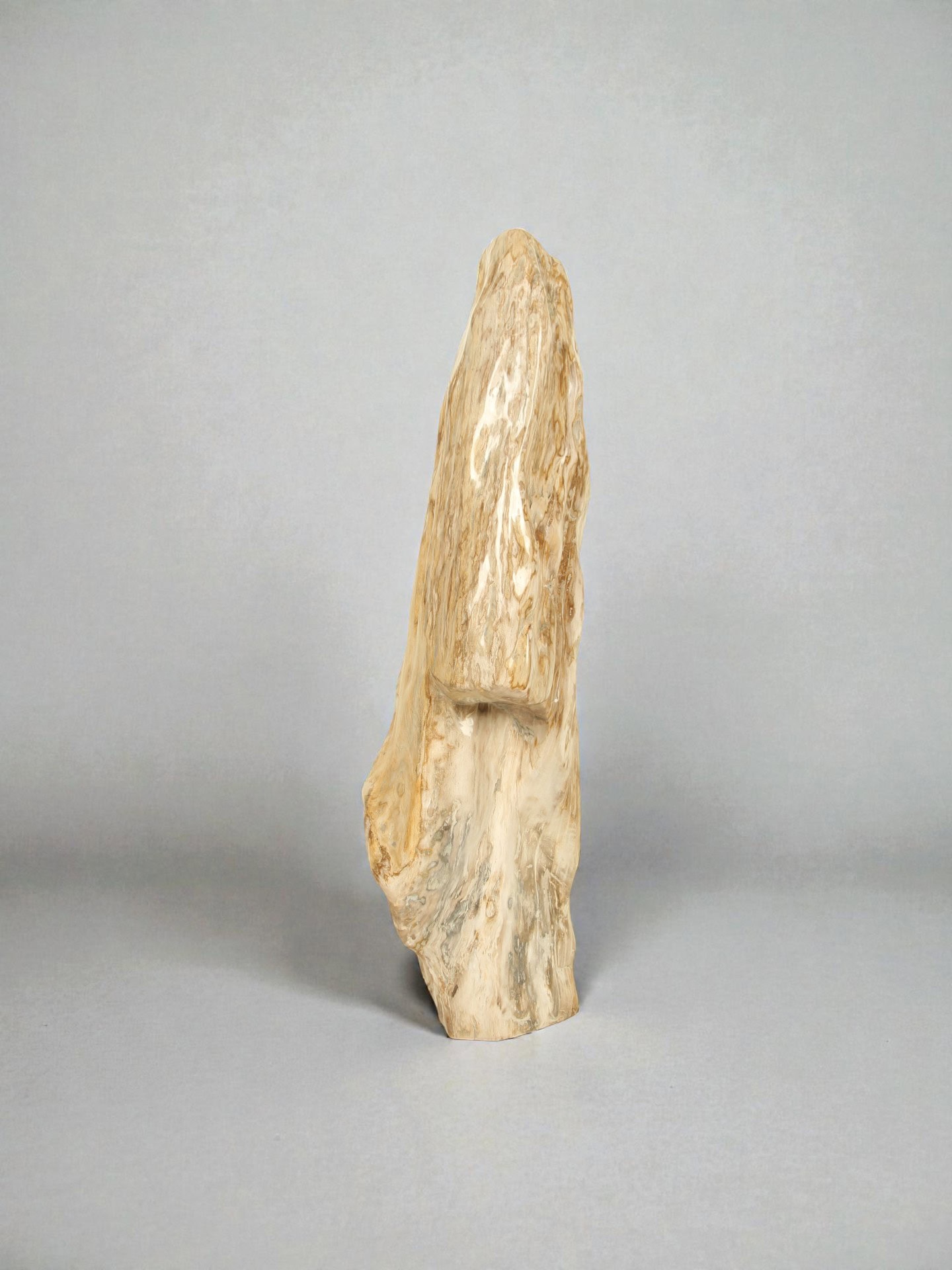 Versteend hout - Versteend hout - 98x26x26 cm