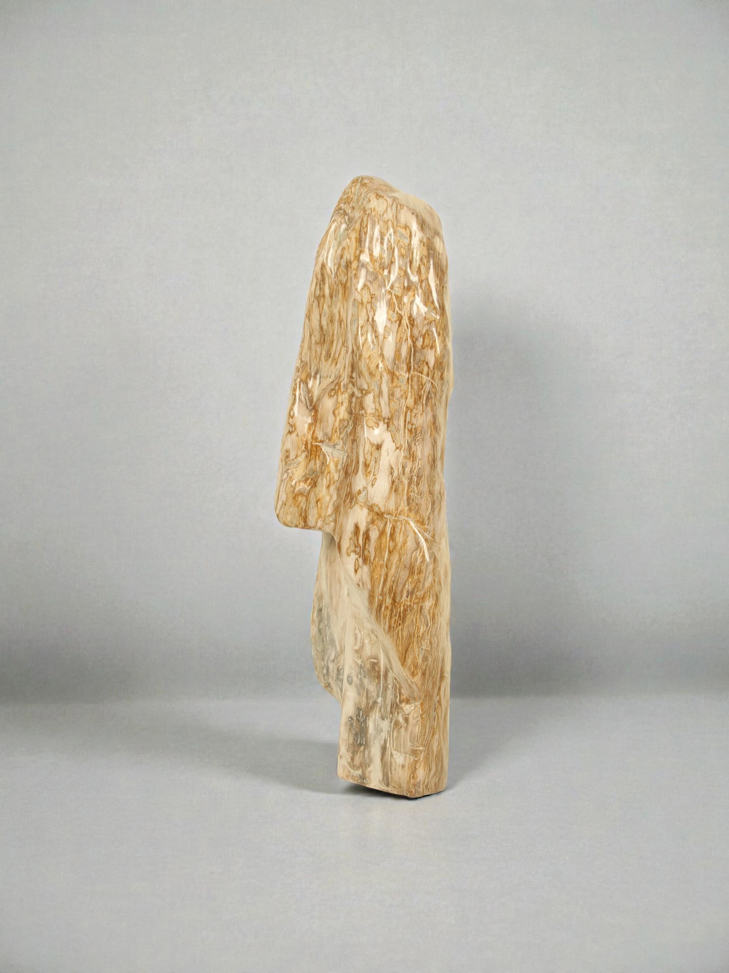 Versteend hout - Versteend hout - 98x26x26 cm - Afbeelding 2