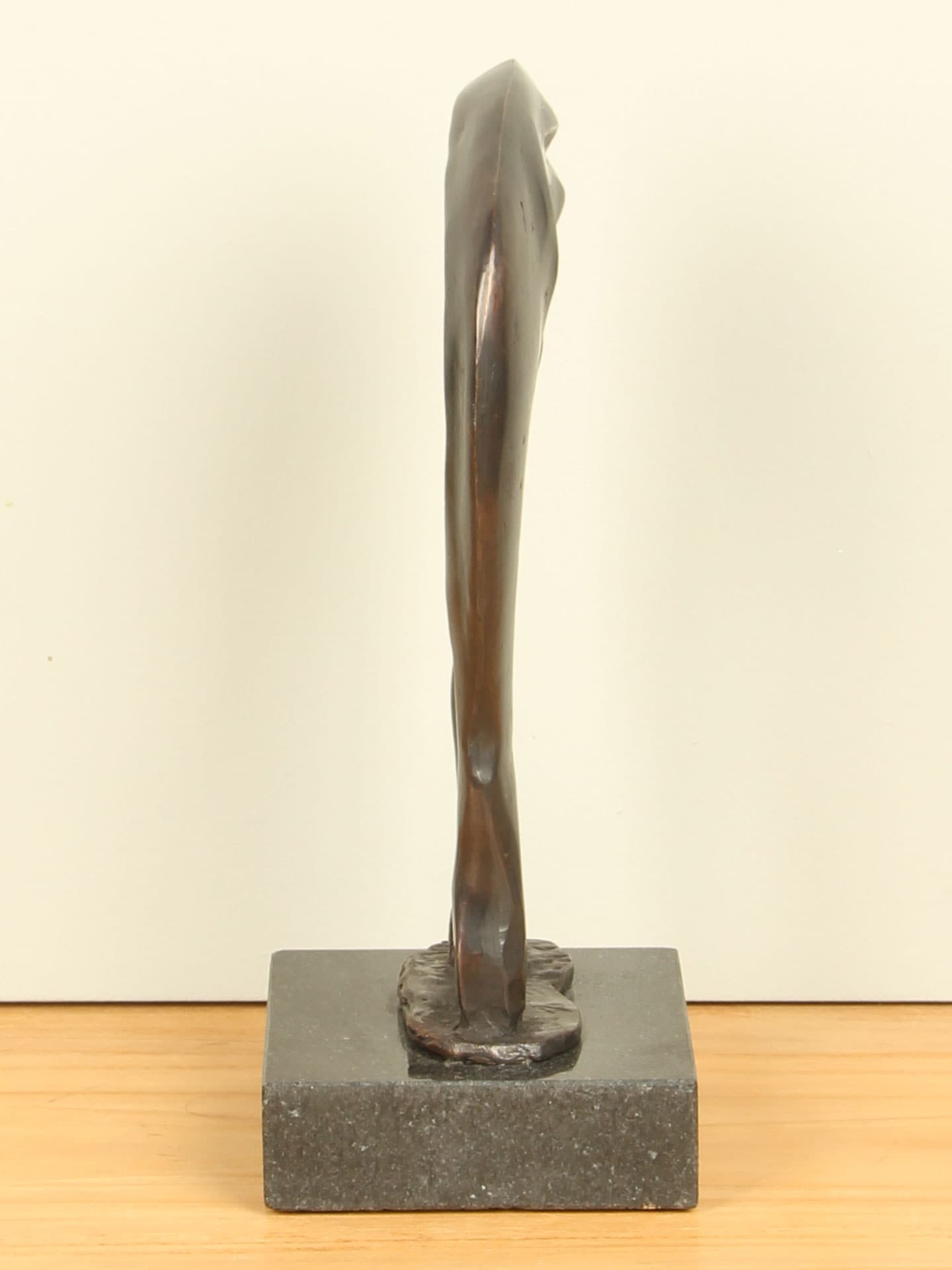 Beeld voor binnen of buiten - Brons - 2-Benige Oertijd klein - 25x12x10 cm - Afbeelding 2