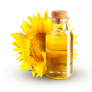 Massage Oil
