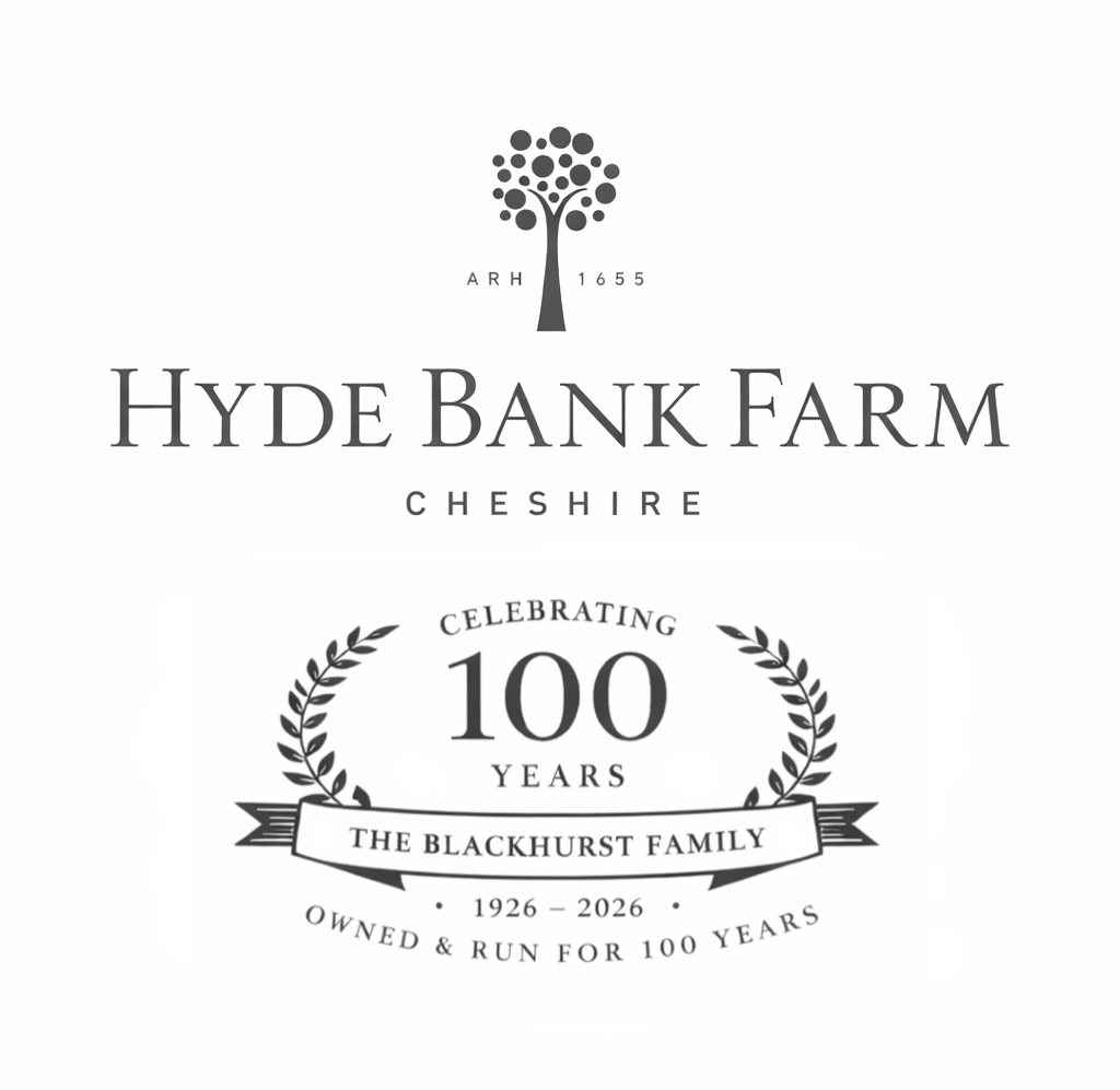 100 years logo