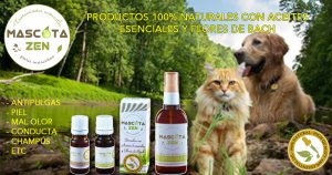 banner_perro_gato >thisisjustarandomplaceholder<banner_perro_gato | Iberian Press®