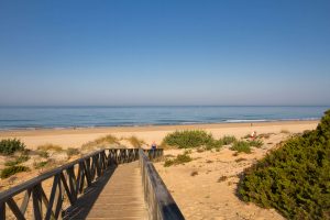 &nbsp;>thisisjustarandomplaceholder<1. novo sancti petri 2017 ranking | Iberian Press®&nbsp;