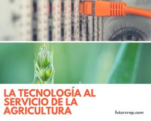 &nbsp;>thisisjustarandomplaceholder<tecnologia-y-agricultura (1) | Iberian Press®&nbsp;