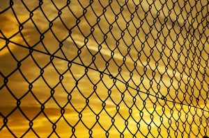 &nbsp;>thisisjustarandomplaceholder<Frontera - IP | Iberian Press®&nbsp;