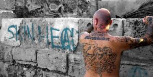 &nbsp;>thisisjustarandomplaceholder<skinhead- ip | Iberian Press®&nbsp;