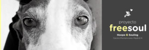 &nbsp;>thisisjustarandomplaceholder<header | Iberian Press®&nbsp;