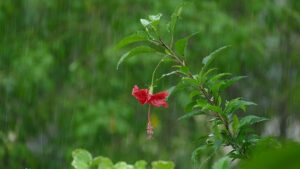 &nbsp;>thisisjustarandomplaceholder<pergola-bioclimatica-IP | Iberian Press®&nbsp;