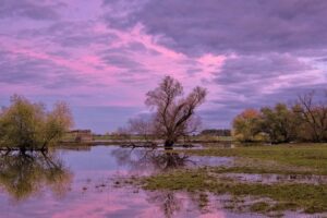 &nbsp;>thisisjustarandomplaceholder<lluvias - IP | Iberian Press®&nbsp;