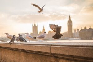&nbsp;>thisisjustarandomplaceholder<Londres - IP | Iberian Press®&nbsp;