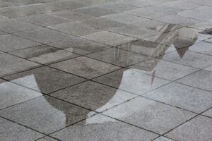 &nbsp;>thisisjustarandomplaceholder<lituania - IP | Iberian Press®&nbsp;