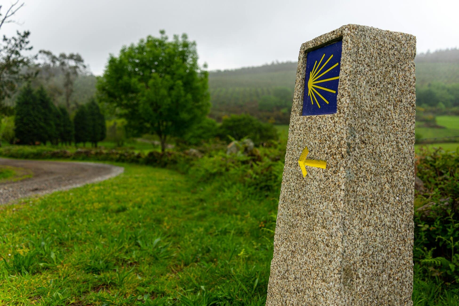 El Camino de Santiago en 2025: nuevas motivaciones, perfiles de viajeros y Año Jubilar