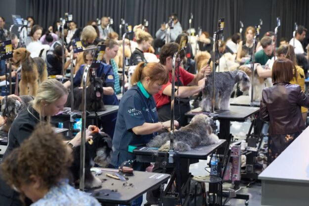 Artero Grooming Slam 2025: La "Super Bowl" de la peluquería canina regresa a Barcelona