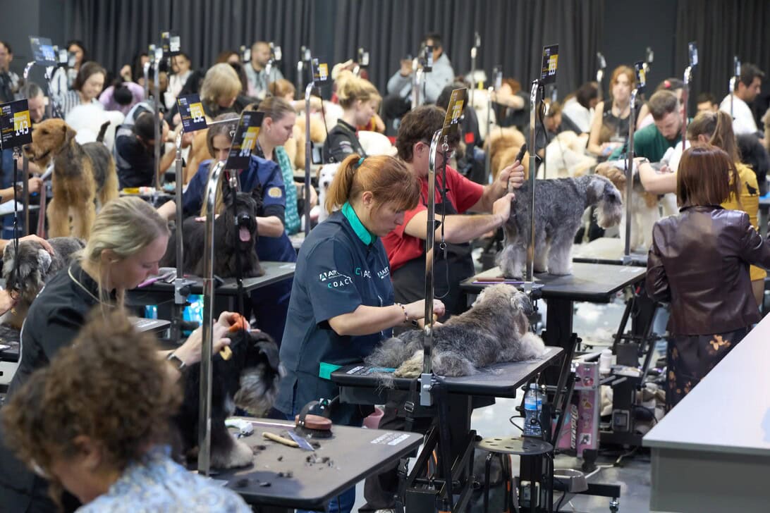 Artero Grooming Slam 2025: La "Super Bowl" de la peluquería canina regresa a Barcelona