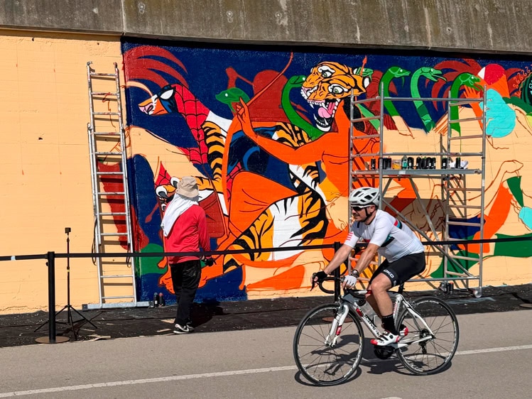 Cyclist rides by a colorful tiger-themed mural on an orange wall with scaffolding and a person in red nearby.