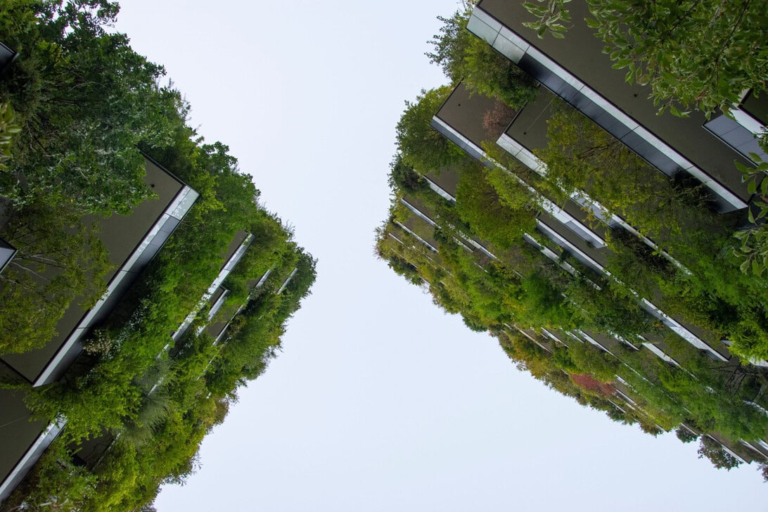 Upside-down view of modern buildings flanked by lush trees with a pale sky in the center.