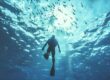 SCUBA diver swimming underwater, surrounded by a swarm of small fish in clear turquoise water.