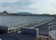 Long row of glass greenhouses on a flat industrial site with distant mountains under a cloudy sky.