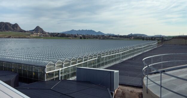 Long row of glass greenhouses on a flat industrial site with distant mountains under a cloudy sky.