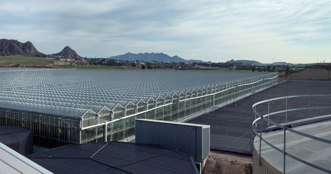 Long row of glass greenhouses on a flat industrial site with distant mountains under a cloudy sky.