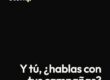 Black ad banner with the white 'stenq.' logo in the top-left and the bold Spanish slogan 'Y tú, ¿hablas con tus campañas?' at the bottom on a black background.
