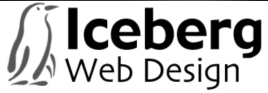 2008 Iceberg Logo