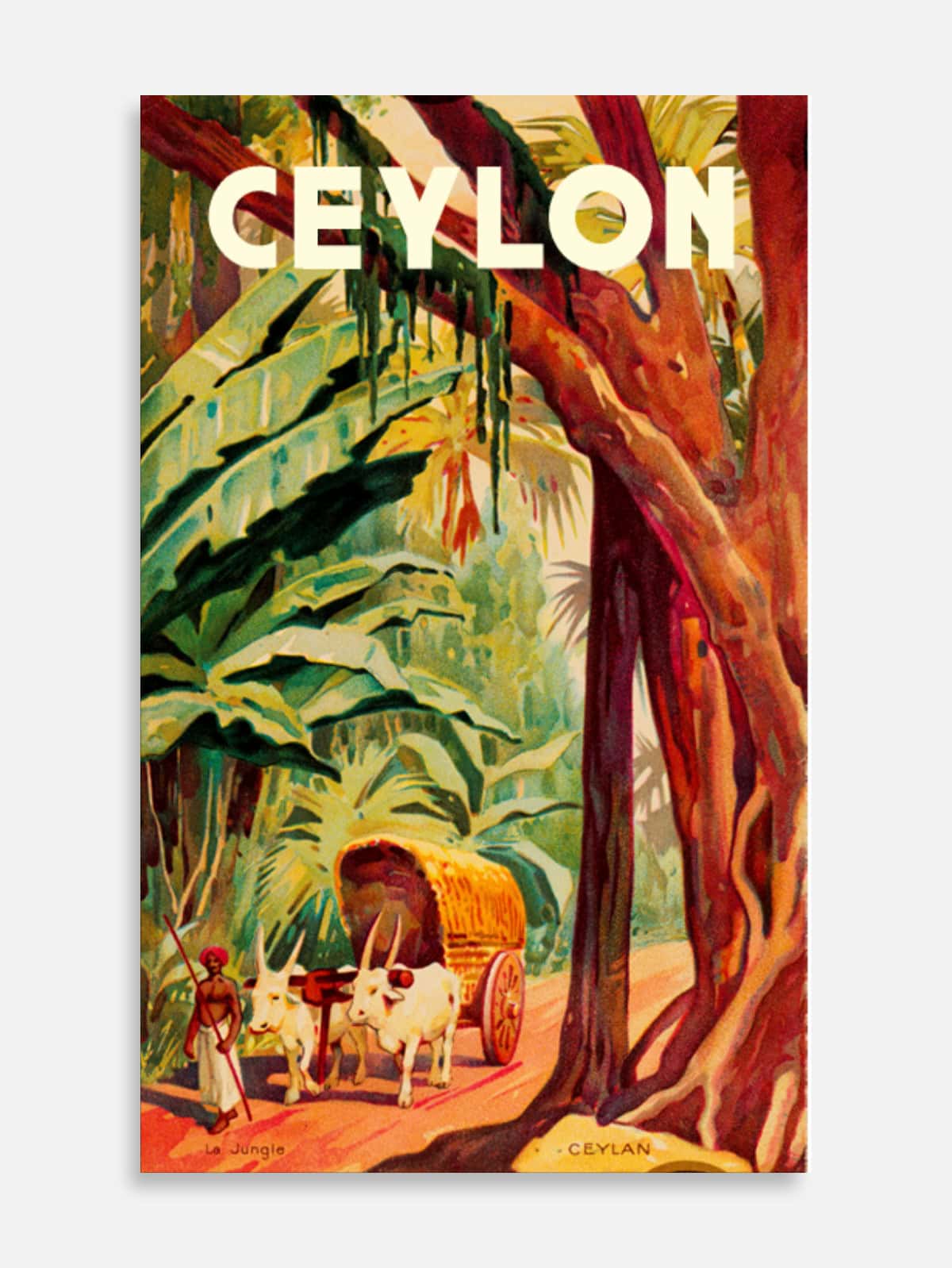 Ceylon Village Scene
