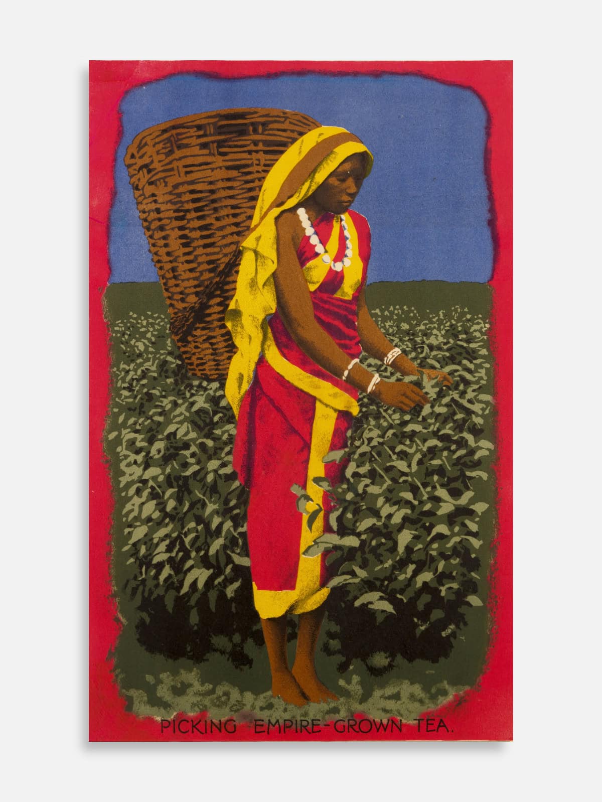 Tea Plucker, Empire Tea Board