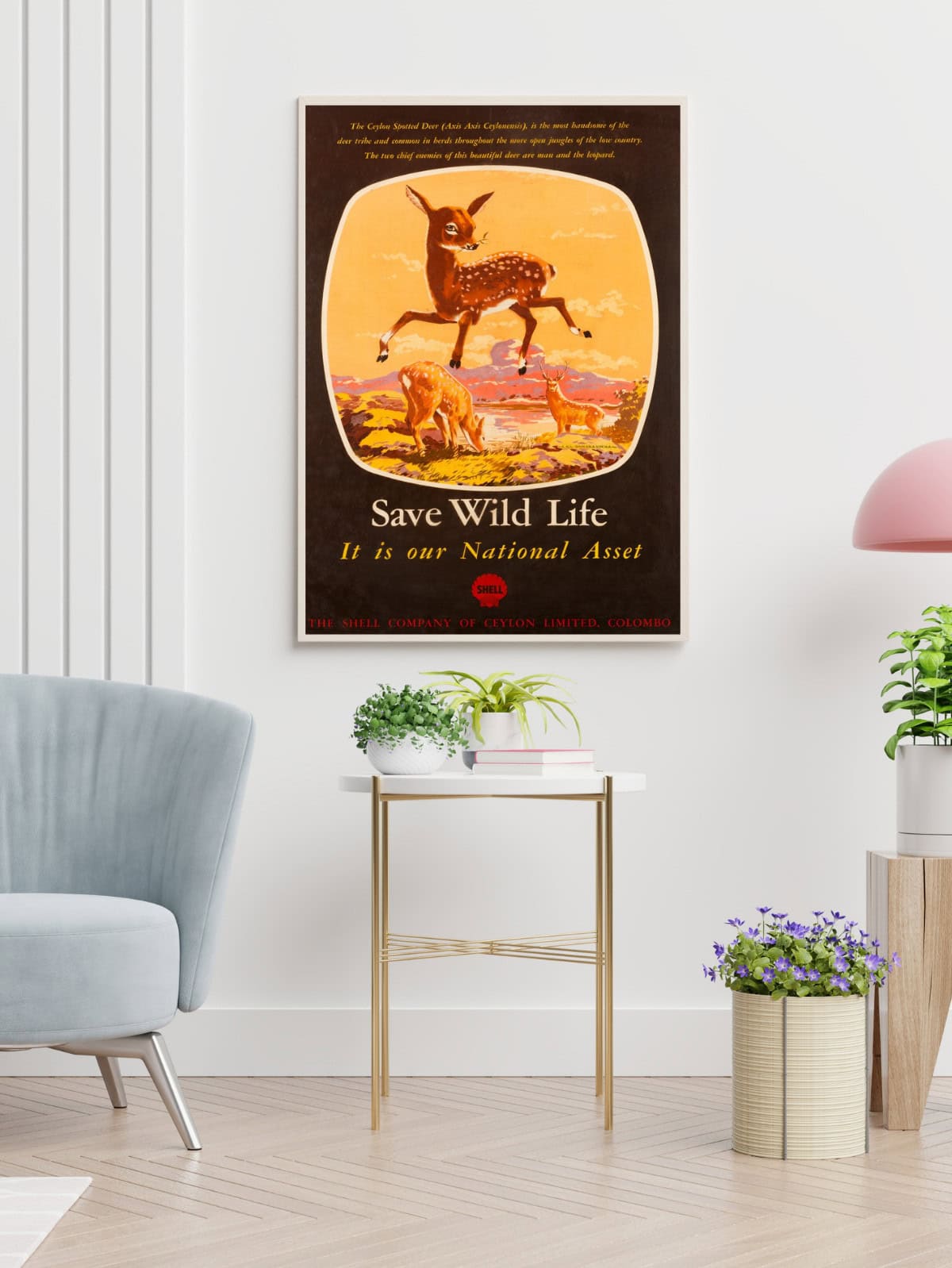 Save Wild Life - Image 2